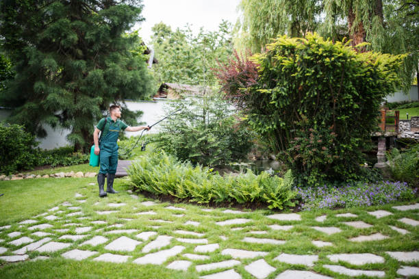 Reliable Adamstown, PA Pest Control Solutions