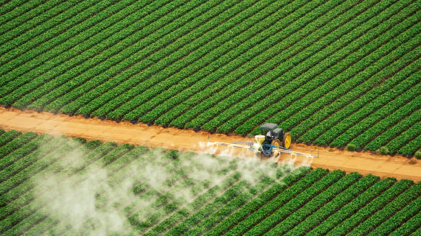 Best Pest Removal Services  in Adamstown, PA