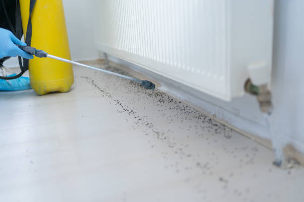 Pest Control Cost in Adamstown, PA