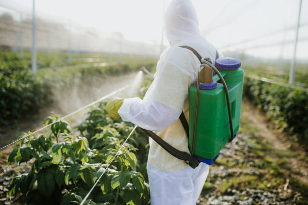 Best Residential Pest Control  in Adamstown, PA